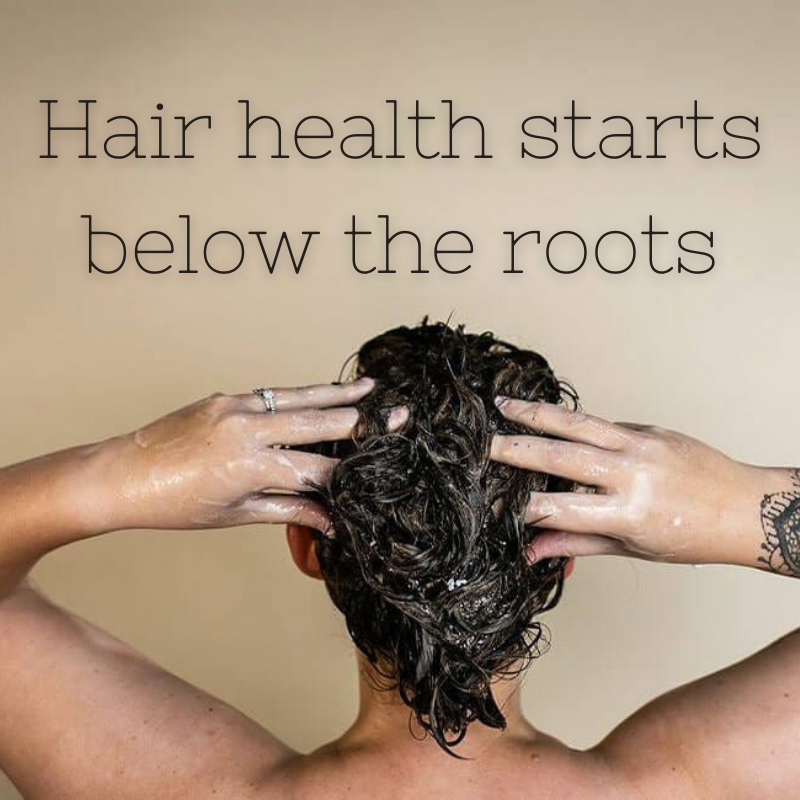 Hair health starts below the roots!